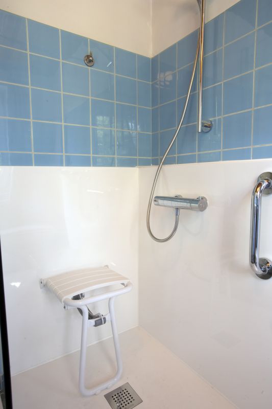 Accessible Shower Setup